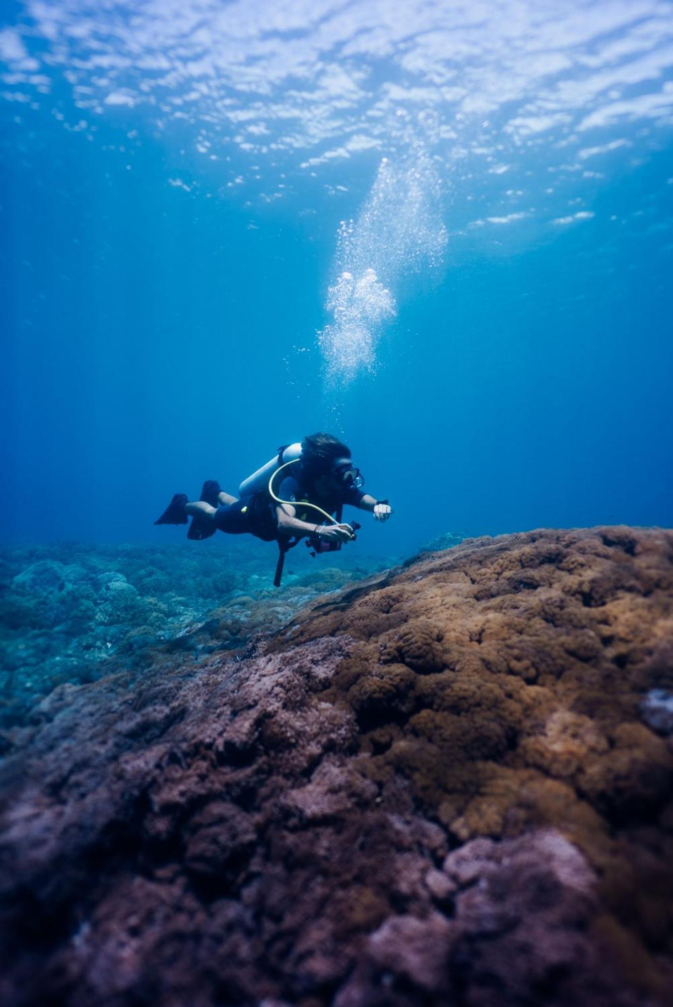 Deep Roots Dive & Yoga Resort Ped Экстерьер фото